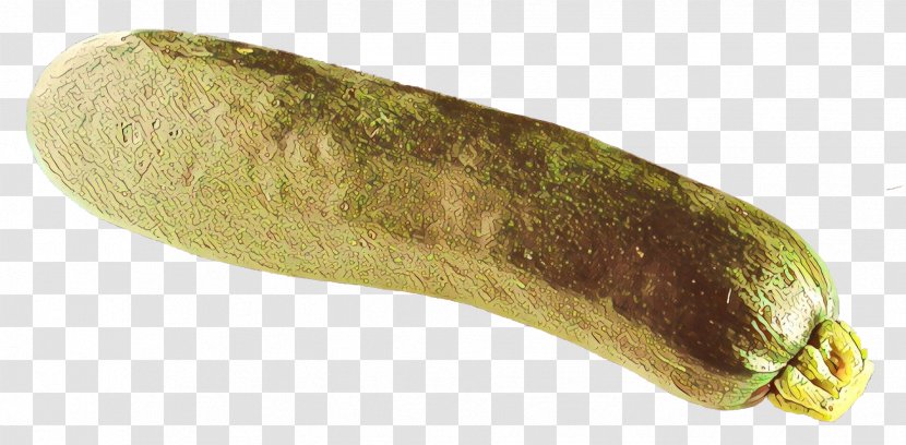 Food Cartoon - Pickled Cucumber - Luffa Transparent PNG