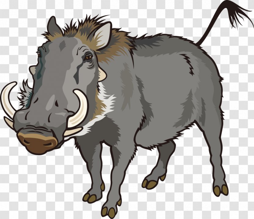 Common Warthog Can Stock Photo Clip Art - Photography - Vector Wild Boar Transparent PNG