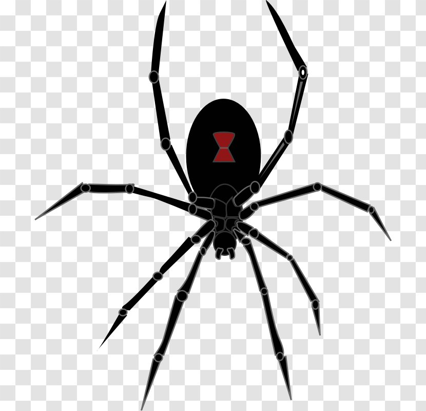 Redback Spider Southern Black Widow Drawing Clip Art - Web - Halloween Pictures Transparent PNG