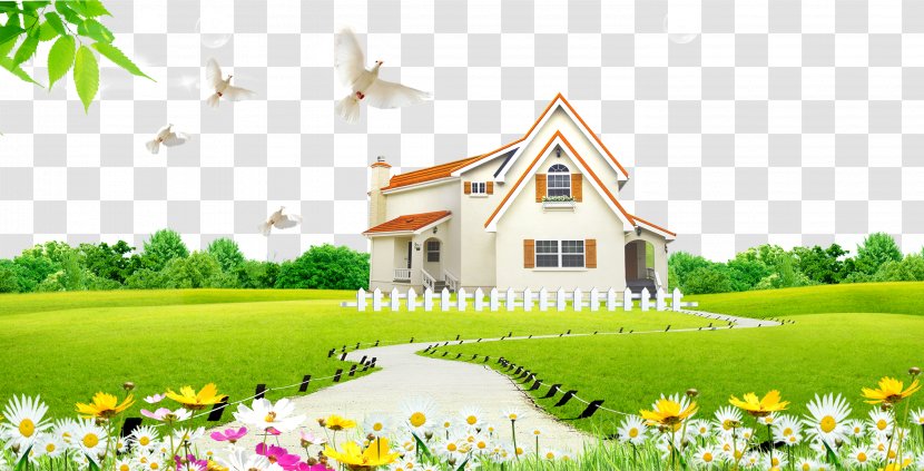 Lawn Download High-definition Television - Sky - Green Grass House Peace Dove Transparent PNG
