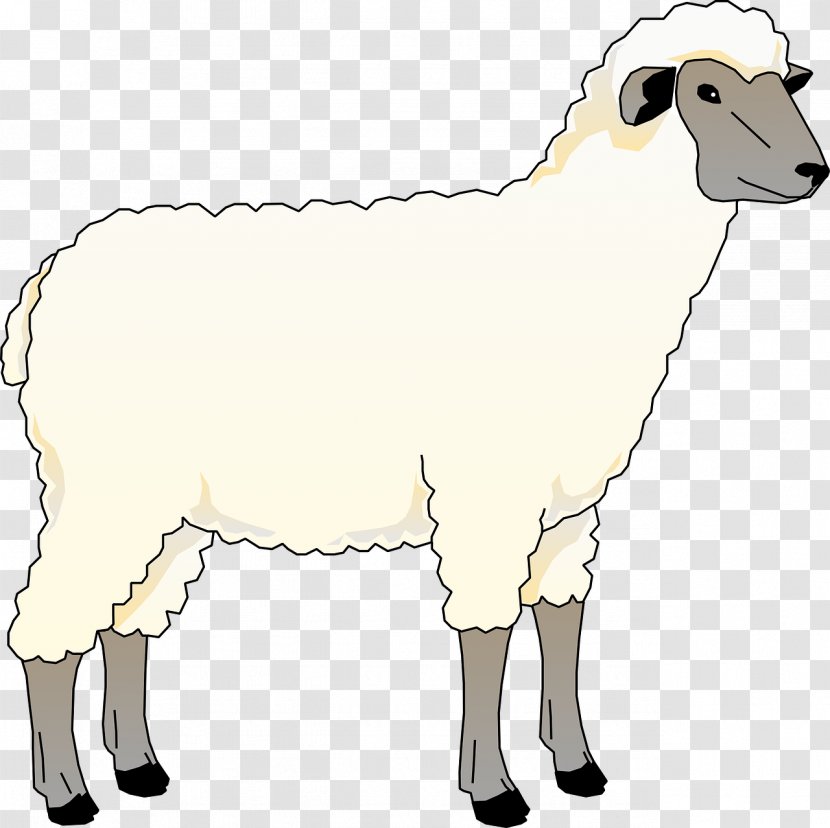 Sheep Drawing Free Content Goat Clip Art - Scalable Vector Graphics - Young Transparent PNG