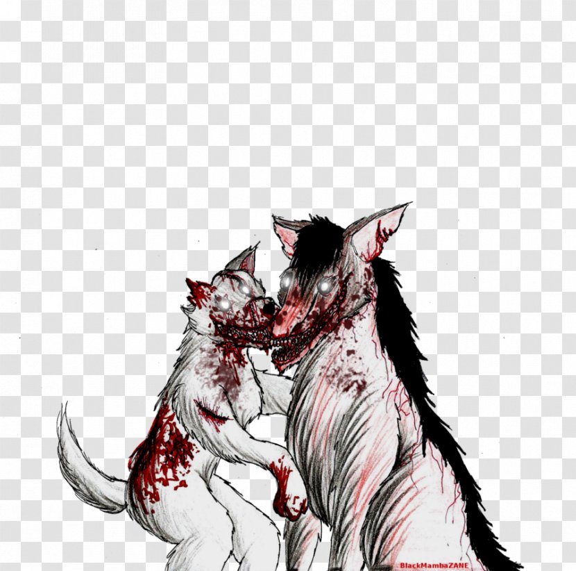 Whiskers Cat Dog Drawing Transparent PNG