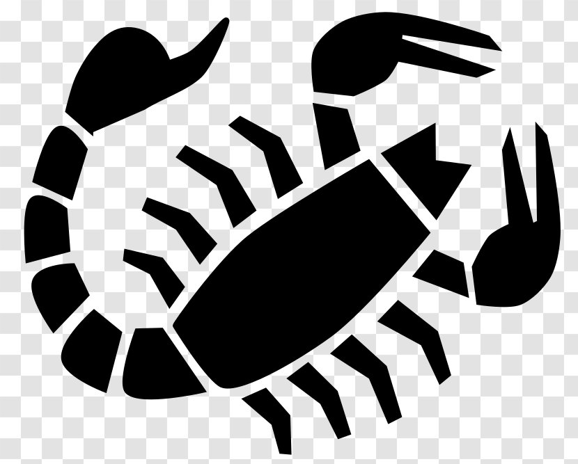 Scorpion T-shirt Zodiac Astrological Sign - Horoscope - Crayfish Clipart Transparent PNG