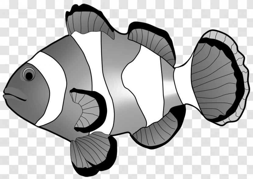 Fish Clip Art - White Transparent PNG