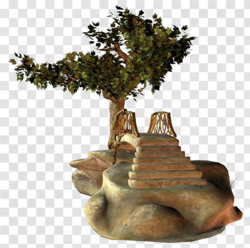 Tree Bonsai Clip Art Wood - Web Page Transparent PNG