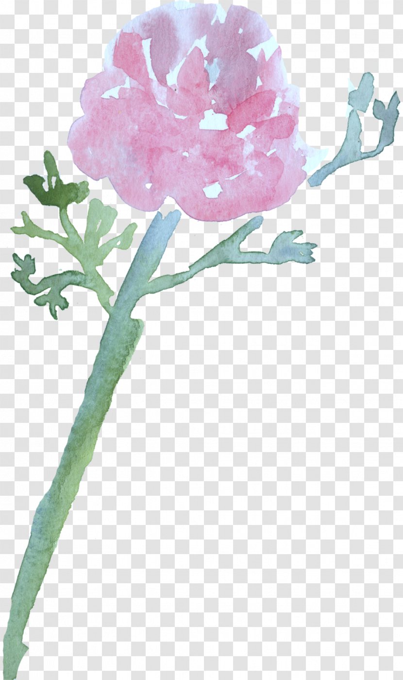 Sarah Swain Photography Valentine's Day Love Heart Photographer - Plant - Sen Department Of Watercolor Flowers Transparent PNG