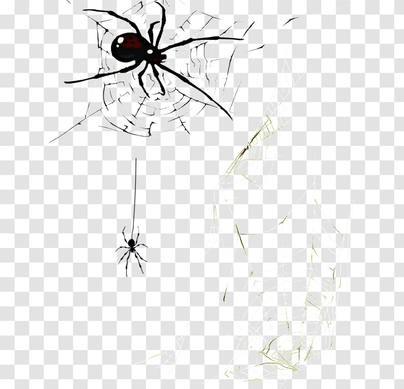 Cartoon Spider - Eye - Drawing Blackandwhite Transparent PNG