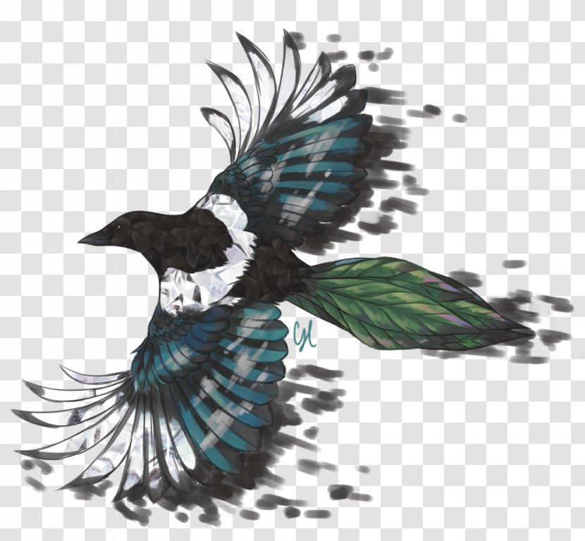 Bird Beak Fauna Feather Crow - Like Transparent PNG