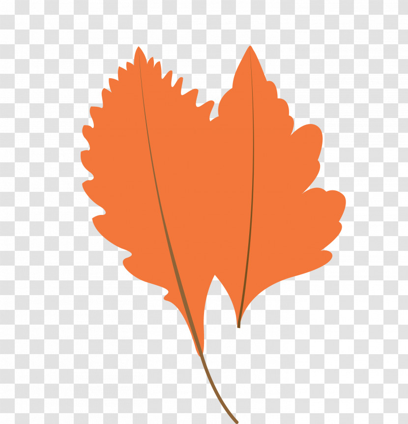 Maple Leaf Transparent PNG