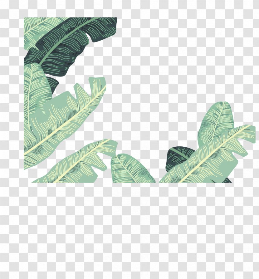 Banana Leaf Euclidean Vector - Flower - Leaves Decorative Borders Transparent PNG
