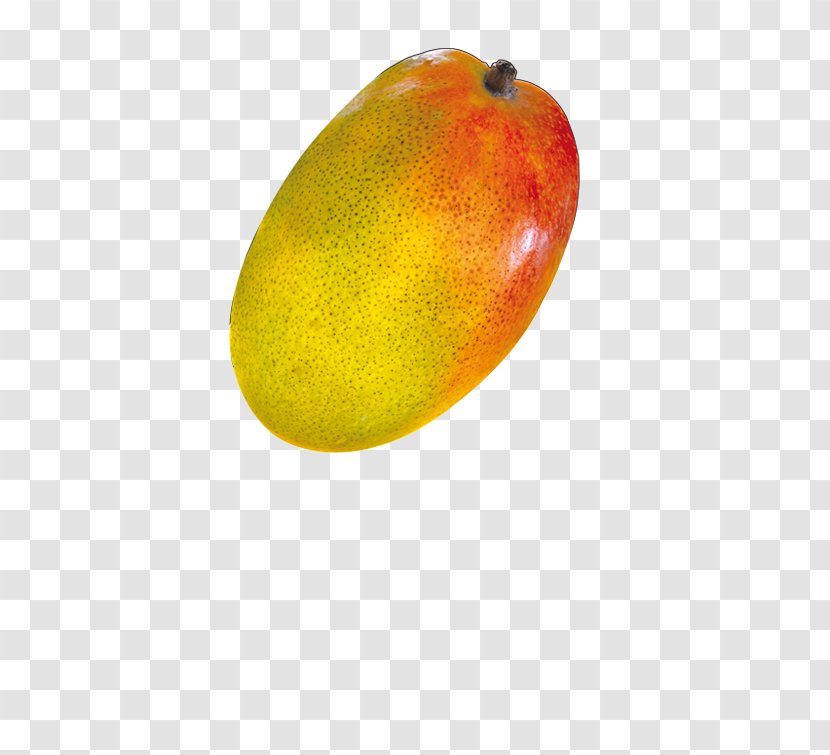 Mango Alphonso - Mangifera Indica Transparent PNG