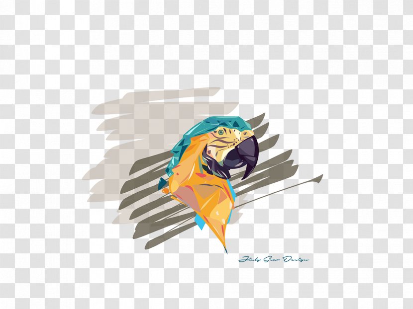 Macaw Graphic Design Feather Beak - Parrot Vector Transparent PNG