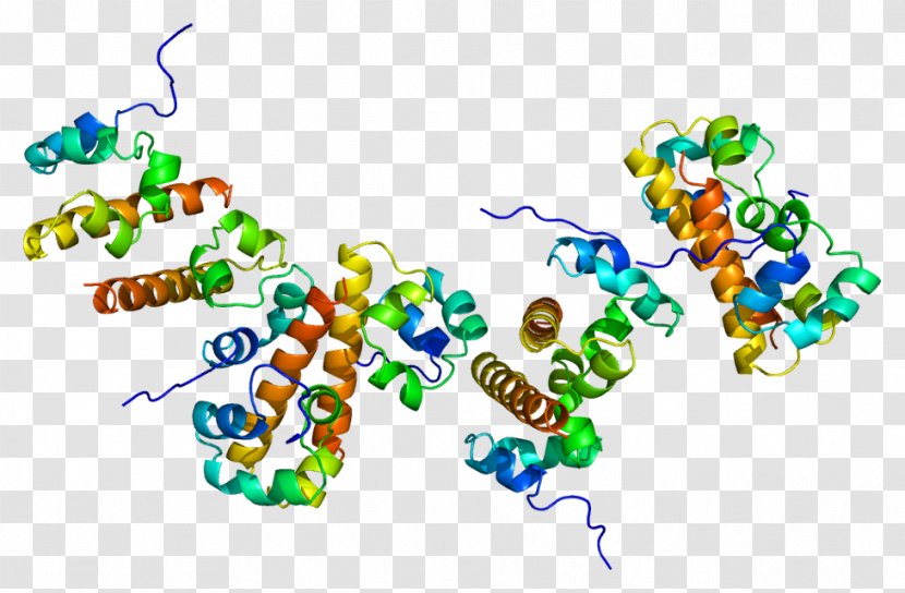 EPH Receptor B2 Ephrin Protein - Watercolor - Tree Transparent PNG