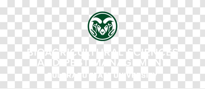 Colorado State University Logo Navel Green Rams - Division I Ncaa - Crop Transparent PNG