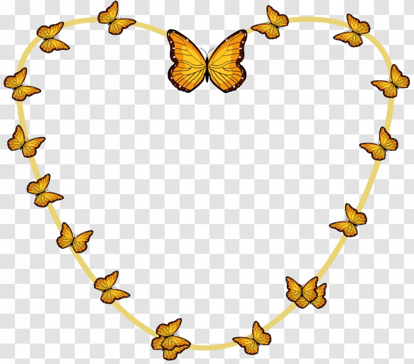 Butterfly Euclidean Vector - Gratis - Painted Border Transparent PNG