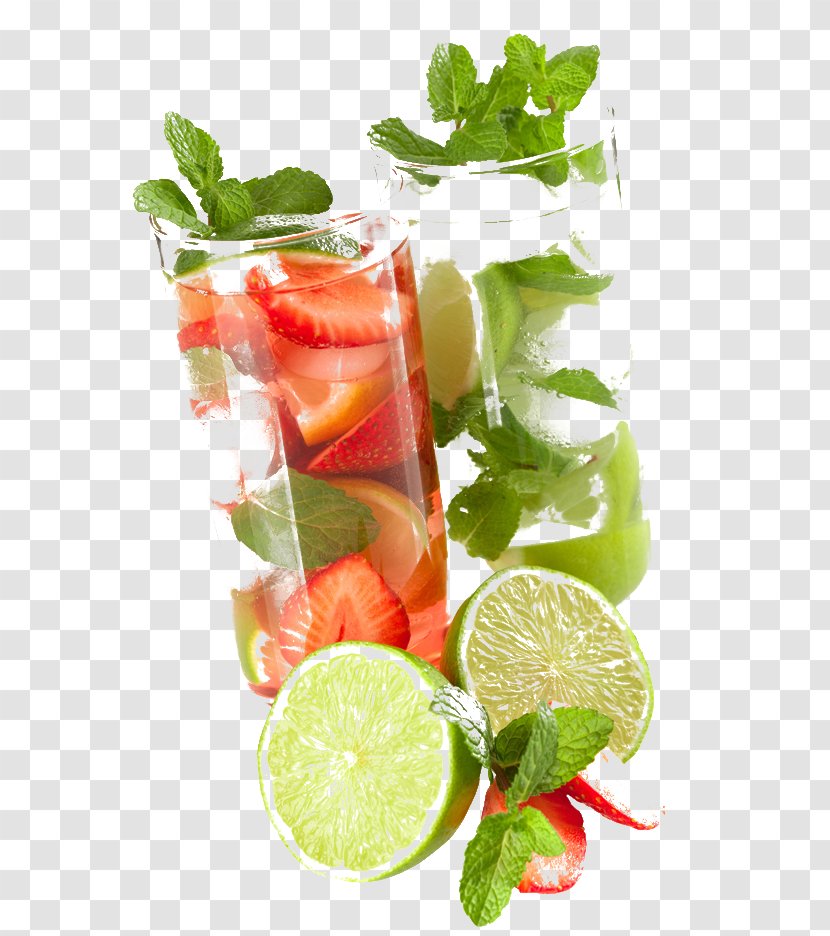 Mojito Cocktail Rum Daiquiri Negroni - Ingredient - Fruit Juice Transparent PNG