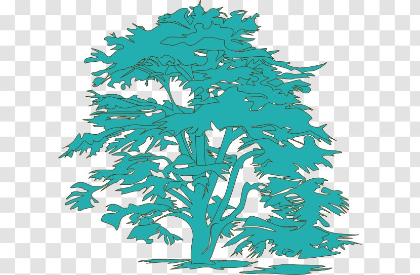 Clip Art - Eastern White Pine - Graphic Arts Transparent PNG