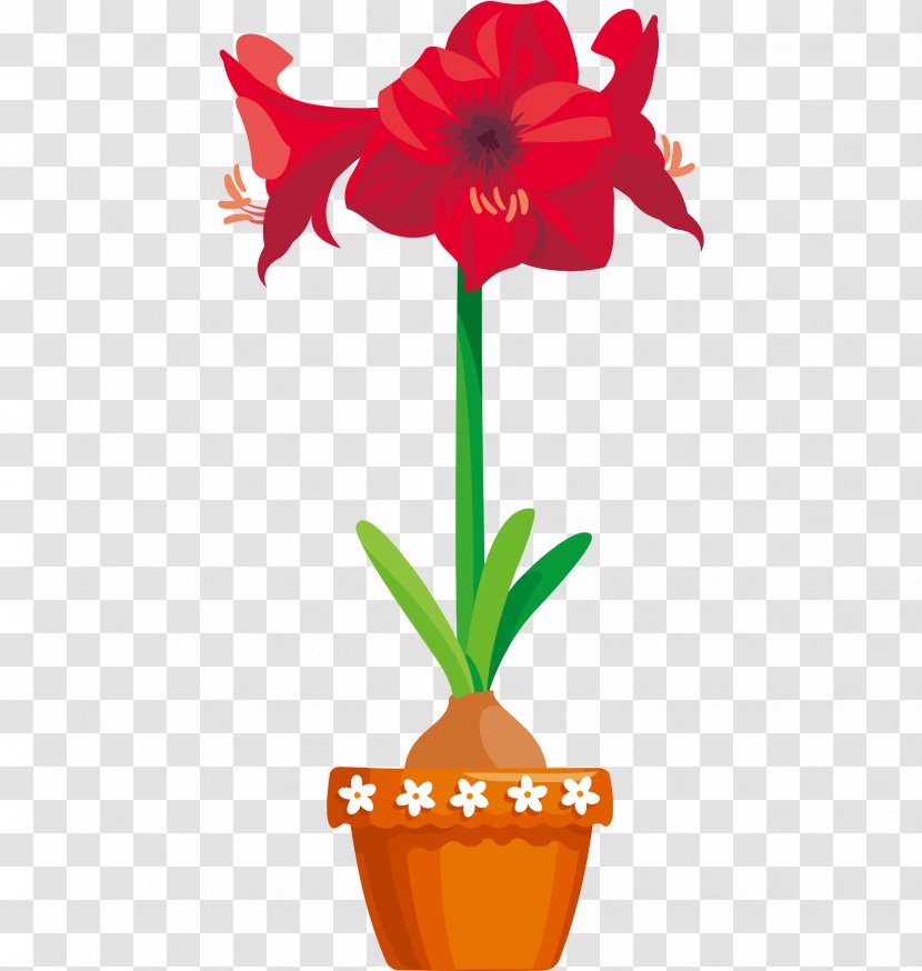 Amaryllis Clip Art Vector Graphics Flower - Flowering Plant - Bonsai Transparent PNG