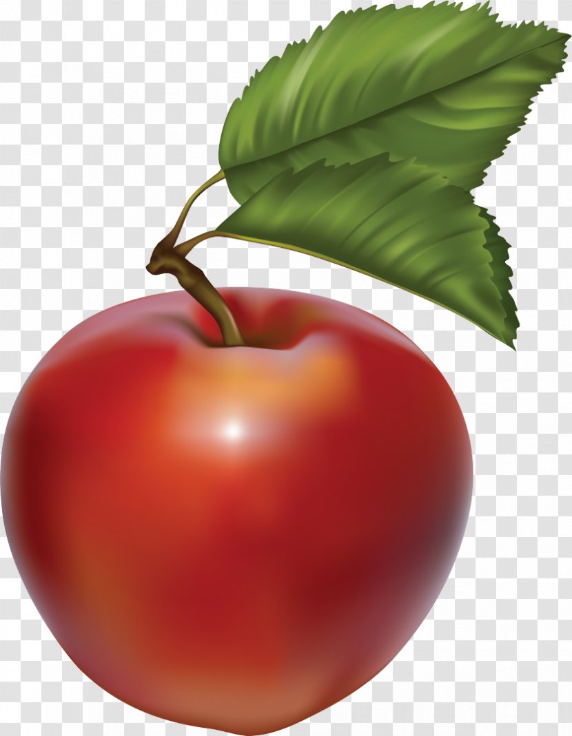 Vector Graphics Fruit Apple Clip Art - Cherry Transparent PNG