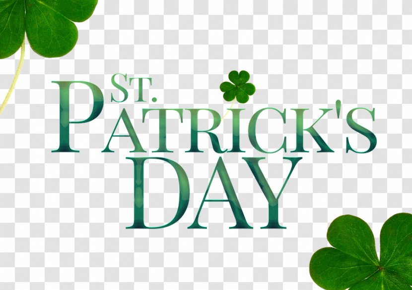 Saint Patrick's Day St. Cathedral 17 March Happiness Irish People Transparent PNG