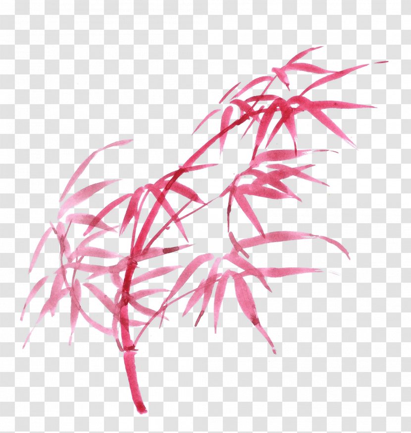 Tropical Woody Bamboos Ink Image Drawing - Plant - Lemur De Bambu Transparent PNG