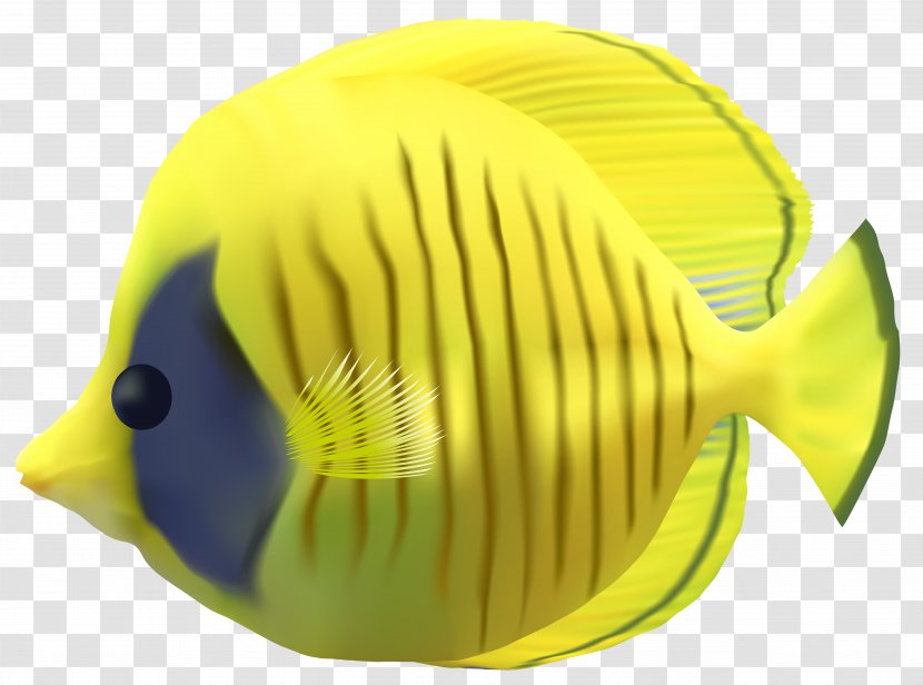 Fish Clock Clip Art - Yellow Transparent Image Transparent PNG