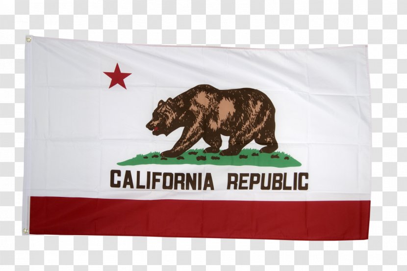 Rainbow California Republic Flag Of The United States - State Transparent PNG