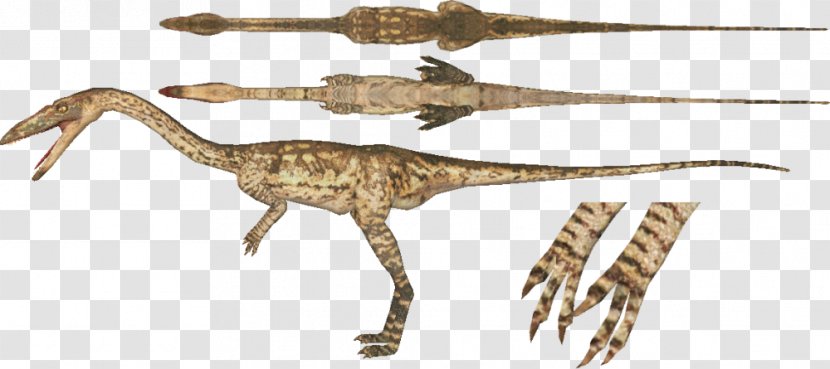 Zoo Tycoon 2 Velociraptor Coelophysis Torosaurus Brachiosaurus - Tyrannosaurus - Dinosaur Transparent PNG