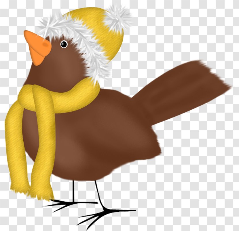 Chicken Bird Duck Hat Clip Art - Photography - Scarf Transparent PNG