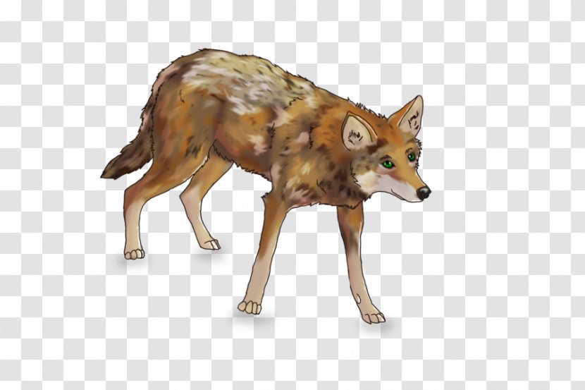 Jackal Gray Wolf Coyote Red Fox Transparent PNG