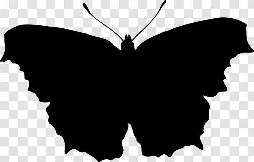 Butterfly Clip Art Insect Silhouette - Blackandwhite - Vis Vector Transparent PNG