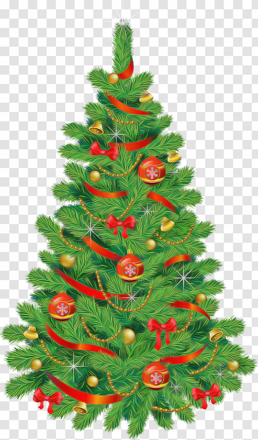 Christmas Tree - Oregon Pine - Silvertip Fir Transparent PNG