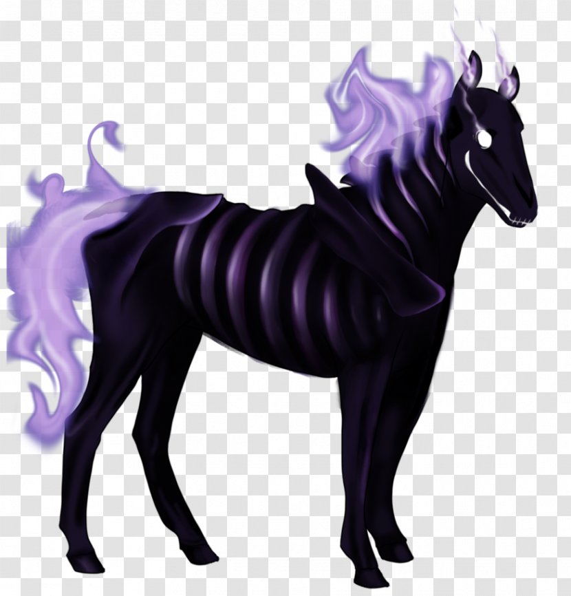 Mane Mustang Stallion Skeleton Pony - Horse Head Transparent PNG