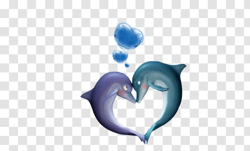 Dolphin Poster Cartoon - Silhouette Transparent PNG