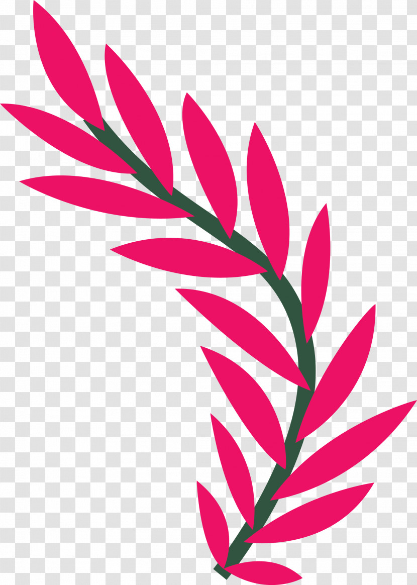 Plant Stem Petal Leaf Pink M Line Transparent PNG