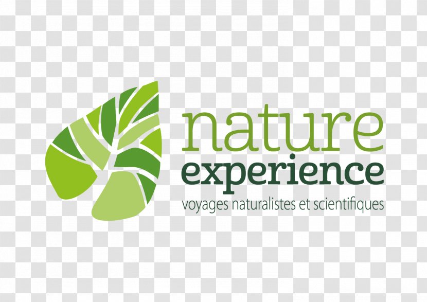 Logo Cotopaxi Neotropical Bird Club Science Nature - Marine Invertebrates Transparent PNG