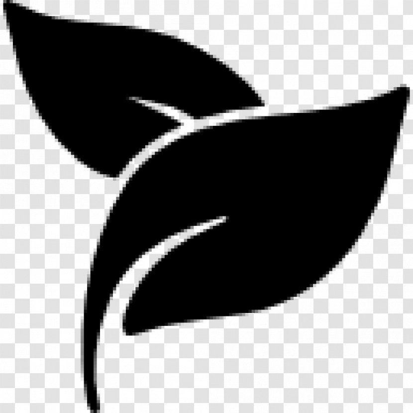 Cardamom - Symbol - Plant Transparent PNG