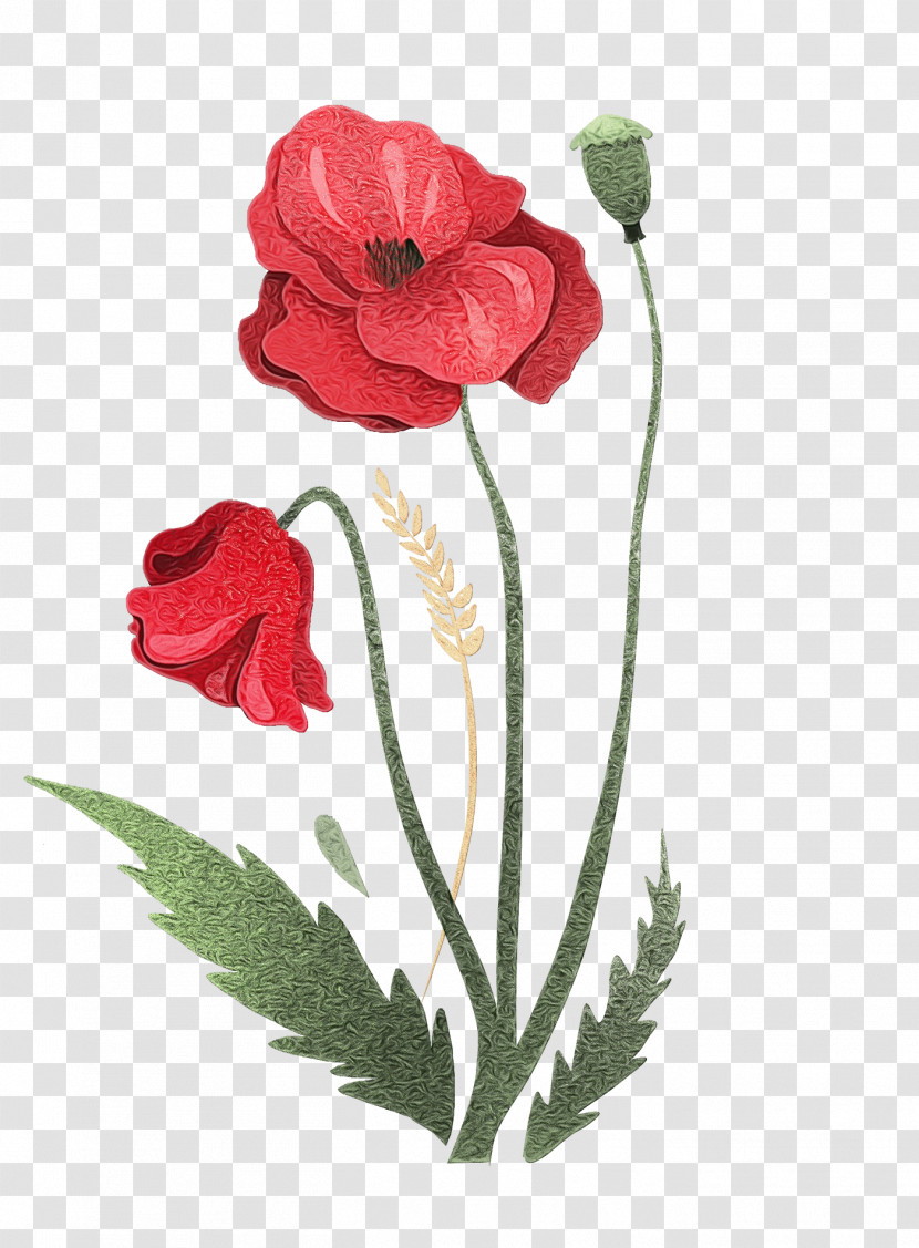 Garden Roses Transparent PNG