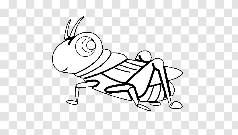 The Ant And Grasshopper Insect Coloring Book Drawing - Silhouette Transparent PNG