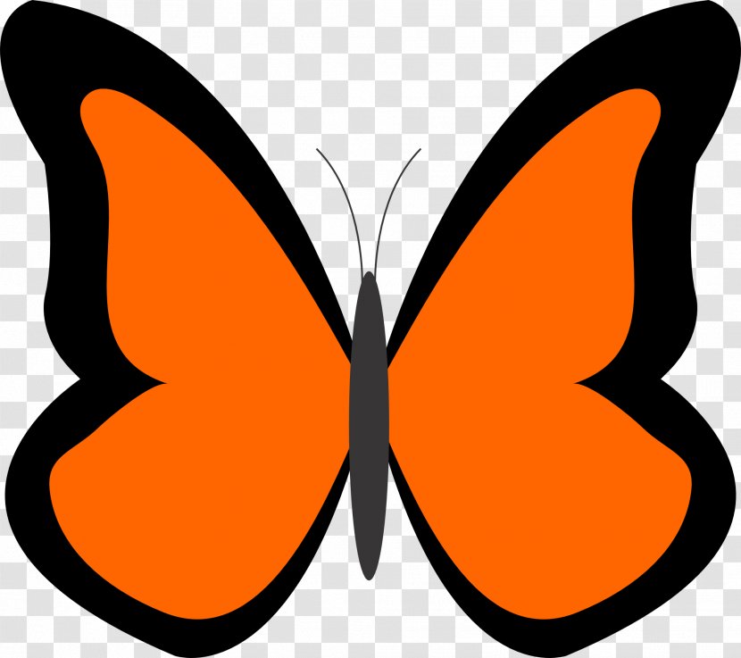 Butterfly Drawing Clip Art - Frame Transparent PNG