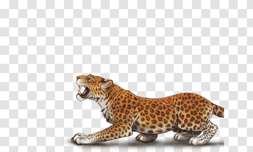 Cheetah Leopard Jaguar Cat Terrestrial Animal Transparent PNG
