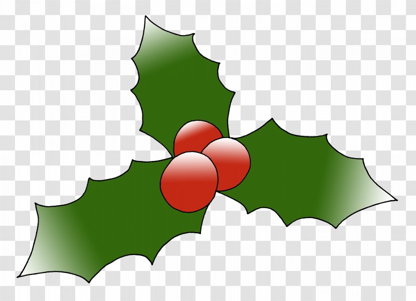 Holly - Plane Hollyleaf Cherry Transparent PNG