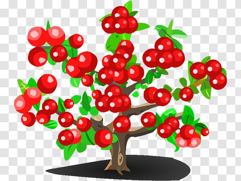Cherry Strawberry Fruit Tree - Cerasus Transparent PNG