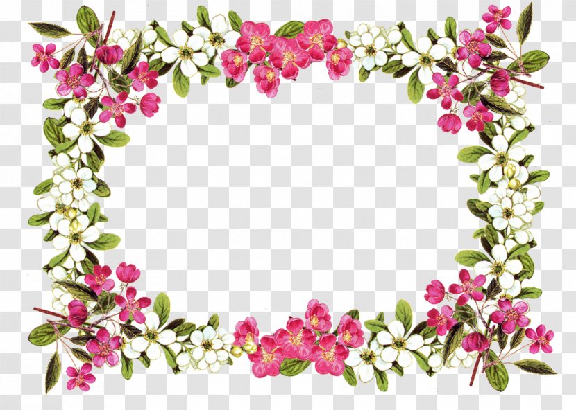 Border Flowers Picture Frames Clip Art - Floristry - Amulet Transparent PNG
