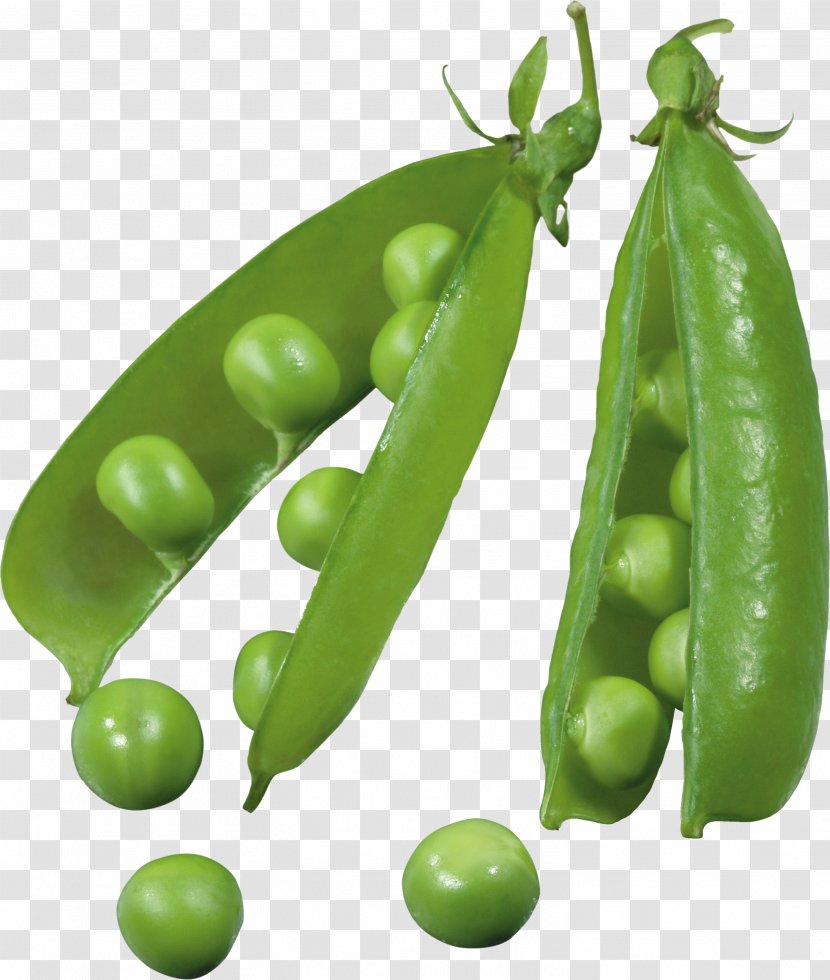 Pea Icon - Vegetable Transparent PNG