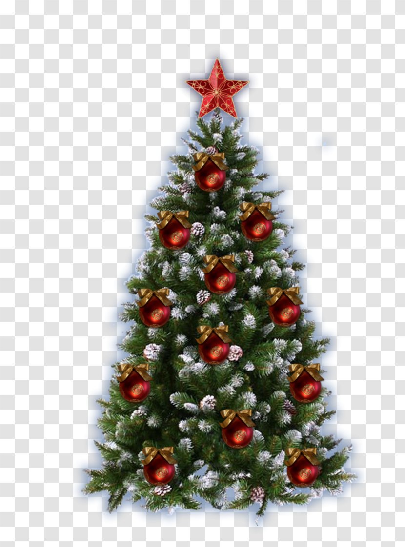 Christmas Tree Picture Frames New Year - Conifer - Decorate Transparent PNG