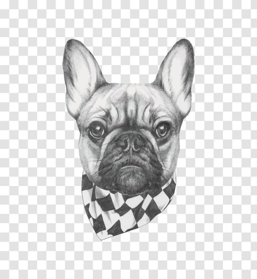 French Bulldog Art Drawing - Canvas - Painting Transparent PNG