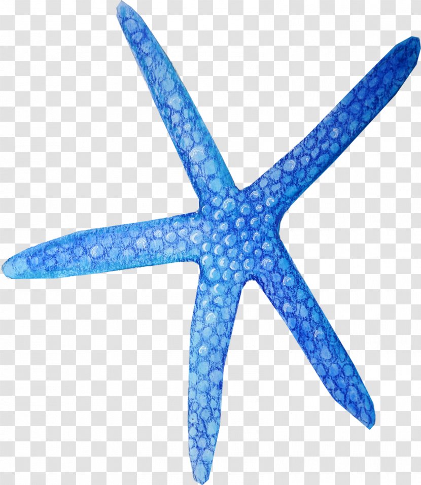 Starfish Blue - Creative Drawing Transparent PNG