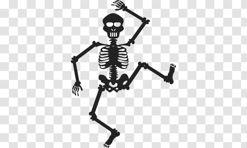 Human Skeleton Chiropractic Bone Transparent PNG