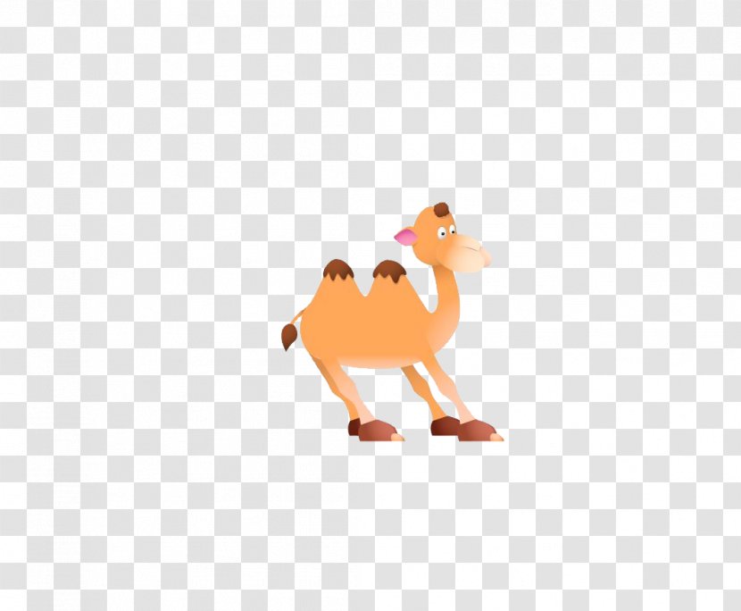 Camel Cartoon - Bird Transparent PNG